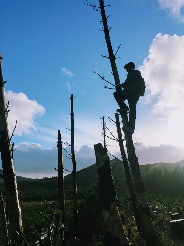 IMG_2100.jpg?type=w773