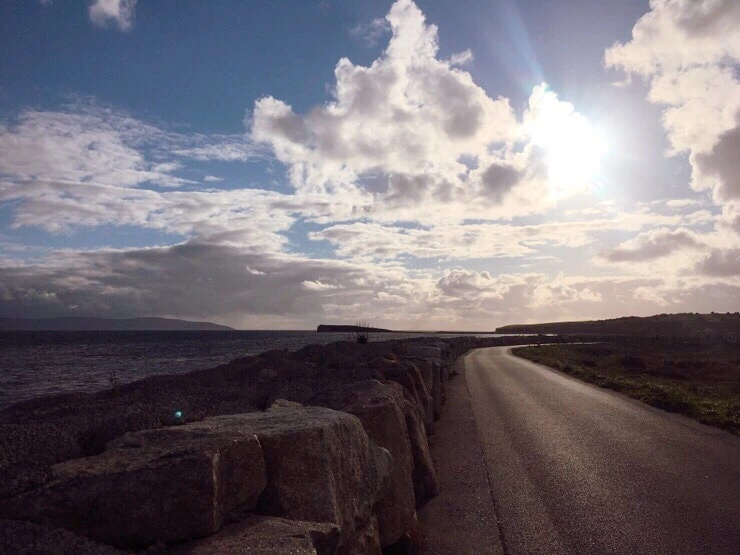 output_3644526456.jpg?type=w773