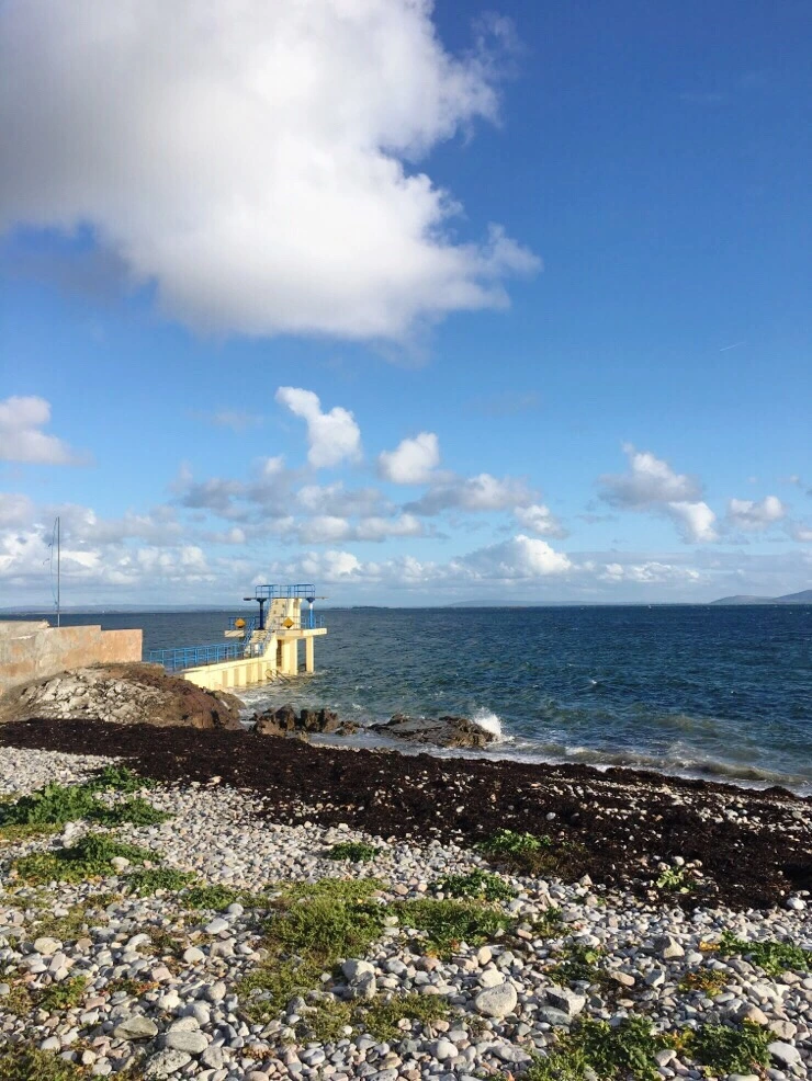 output_2156937779.jpg?type=w773