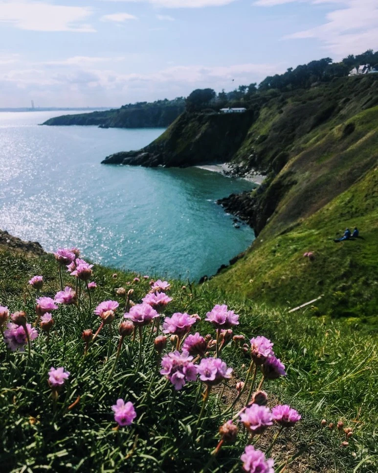 IMG_3973.jpg?type=w773