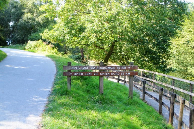 IMG_5675.jpg?type=w773