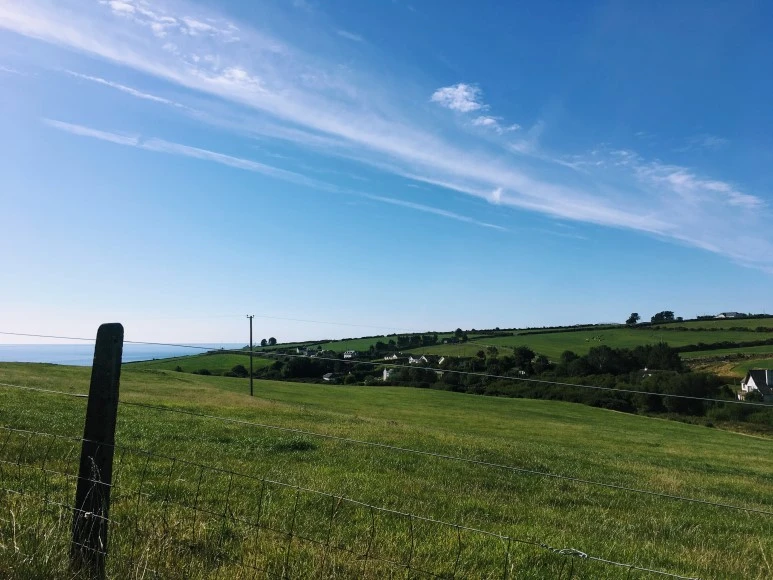 IMG_5466.jpg?type=w773