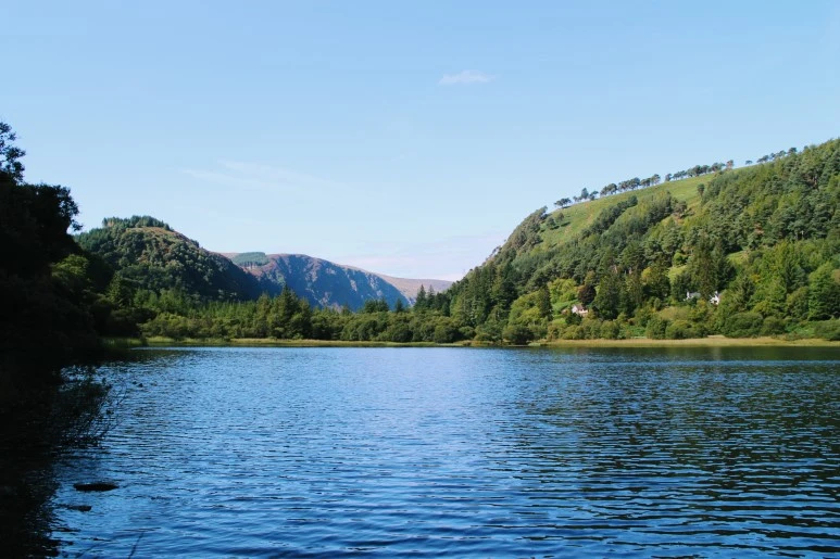 IMG_5591.jpg?type=w773