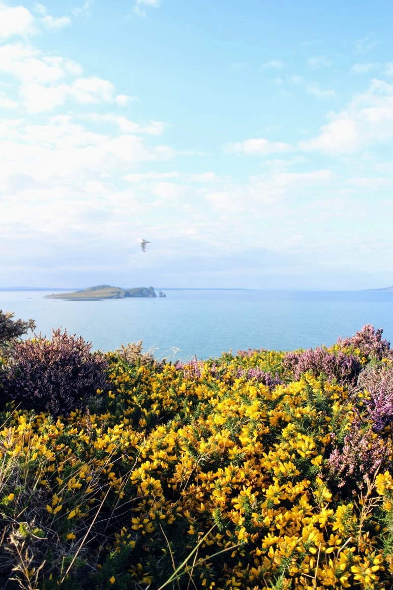 IMG_5452.jpg?type=w773