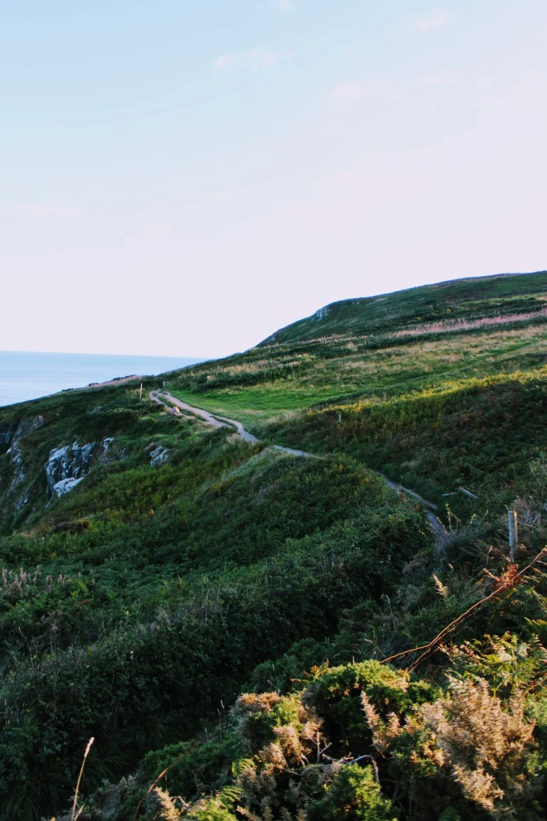 IMG_5521.jpg?type=w773