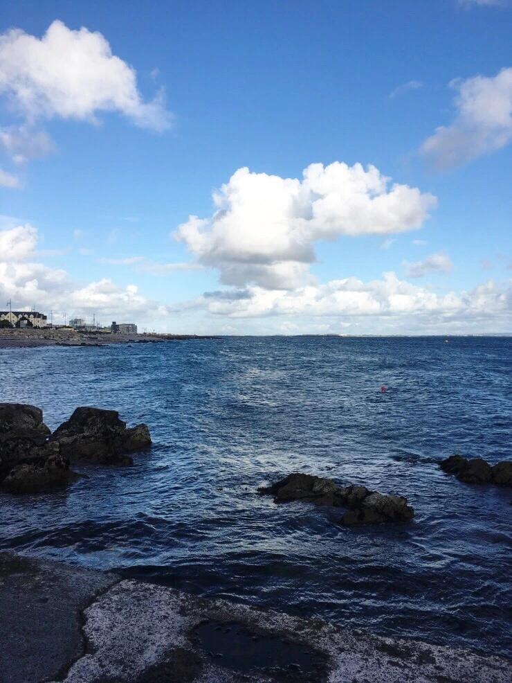 output_659655643.jpg?type=w773