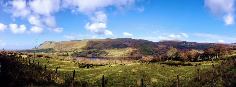 IMG_1262.jpg?type=w773