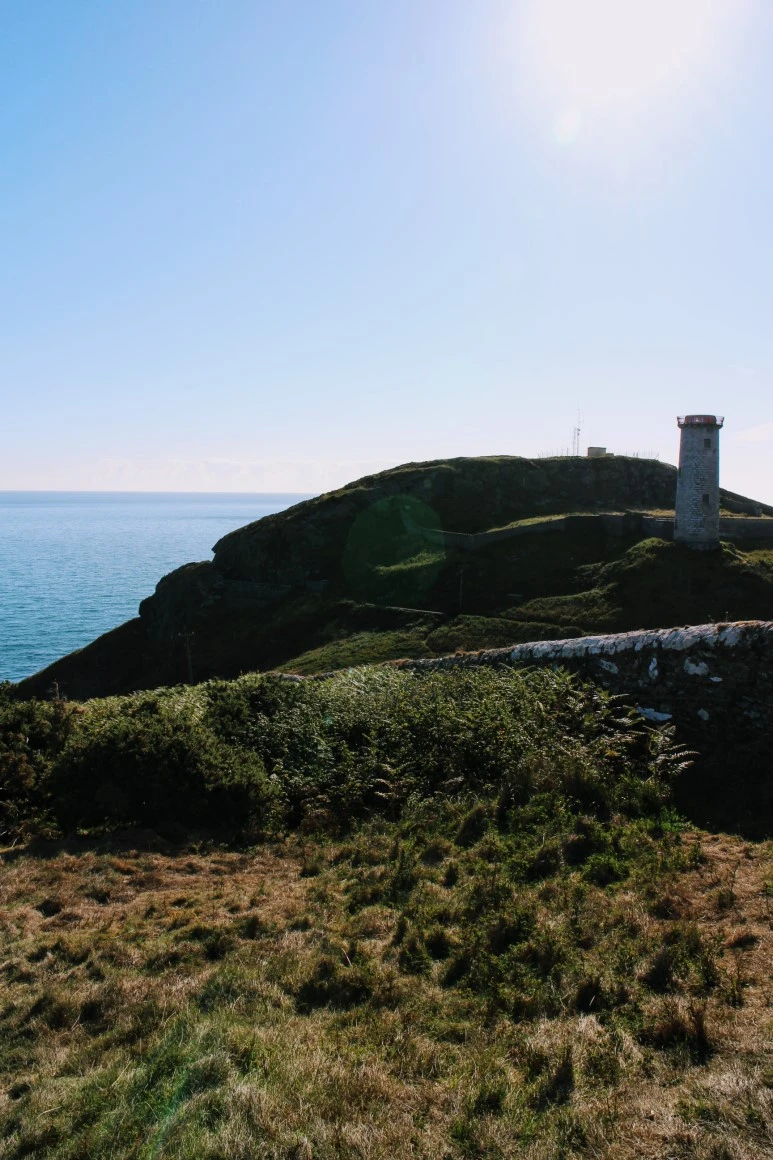 IMG_5551.jpg?type=w773