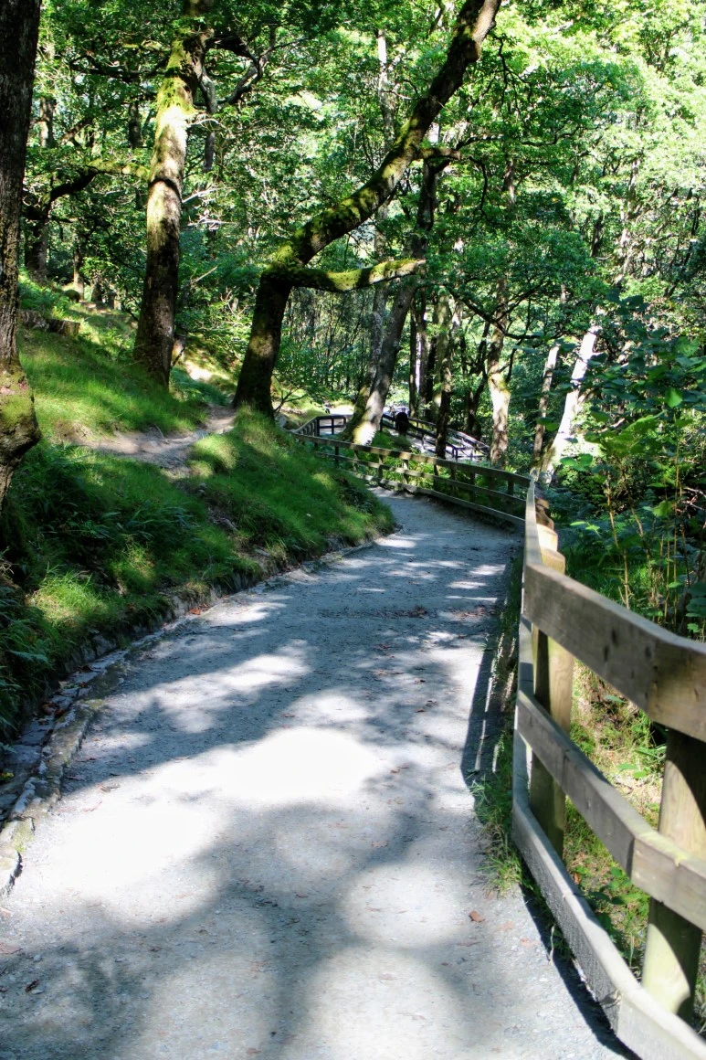 IMG_5642.jpg?type=w773