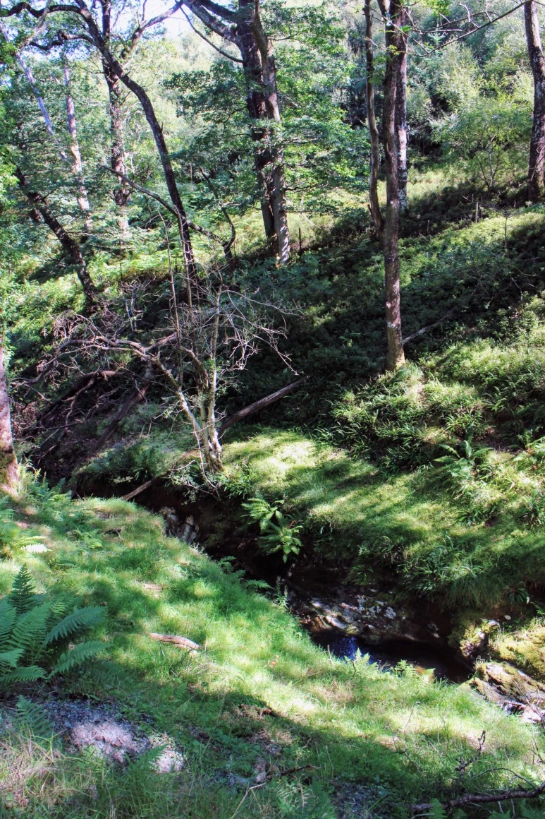 IMG_5617.jpg?type=w773