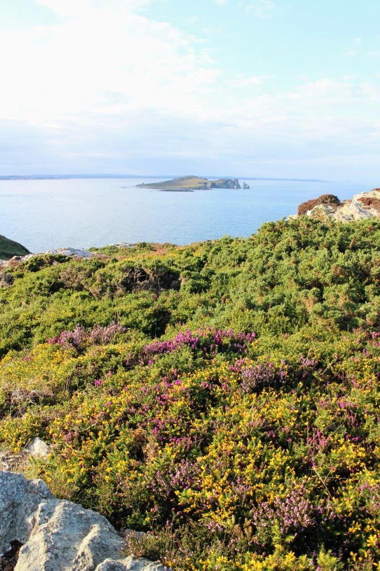 IMG_5463.jpg?type=w773