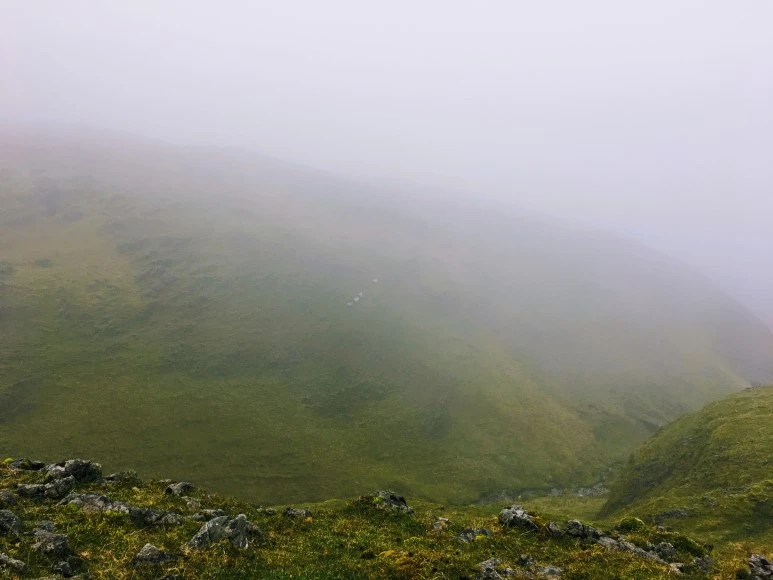 IMG_1253.jpg?type=w773