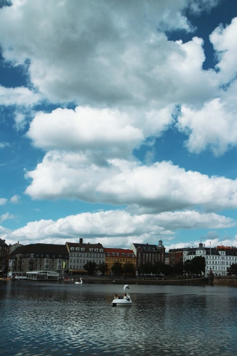 IMG_8437.JPG?type=w1