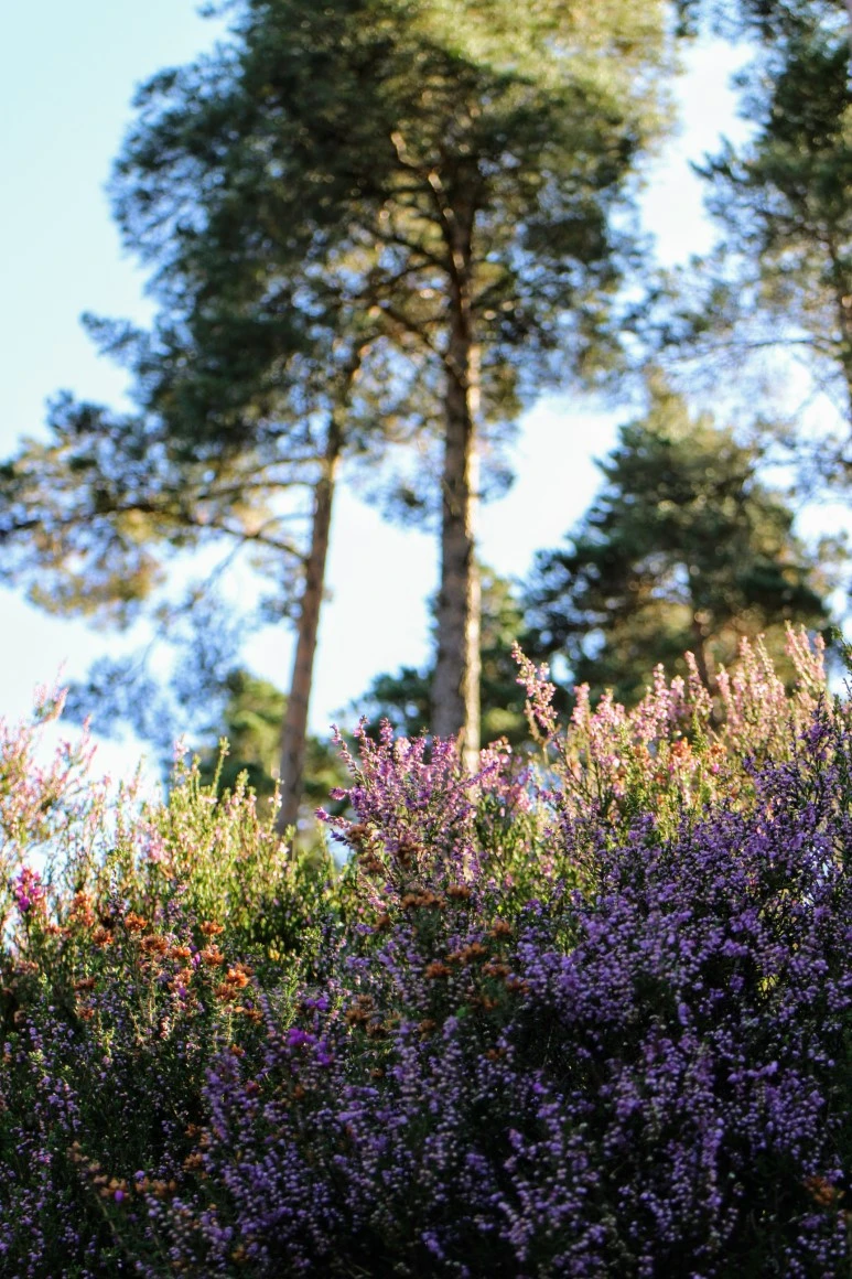 IMG_5628.jpg?type=w773