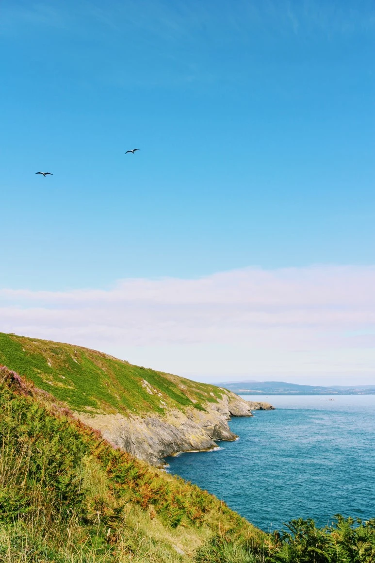 IMG_5565.jpg?type=w773