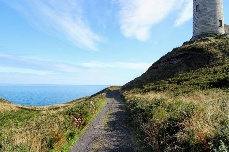 IMG_5556.jpg?type=w773