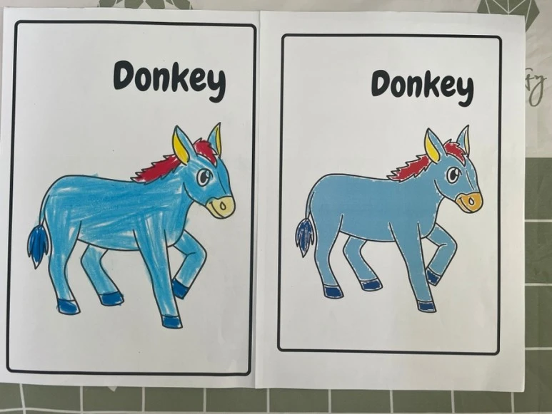 SE-0954F6BF-F2B6-4BD3-BA37-43D541AE84A2.jpg?type=w773