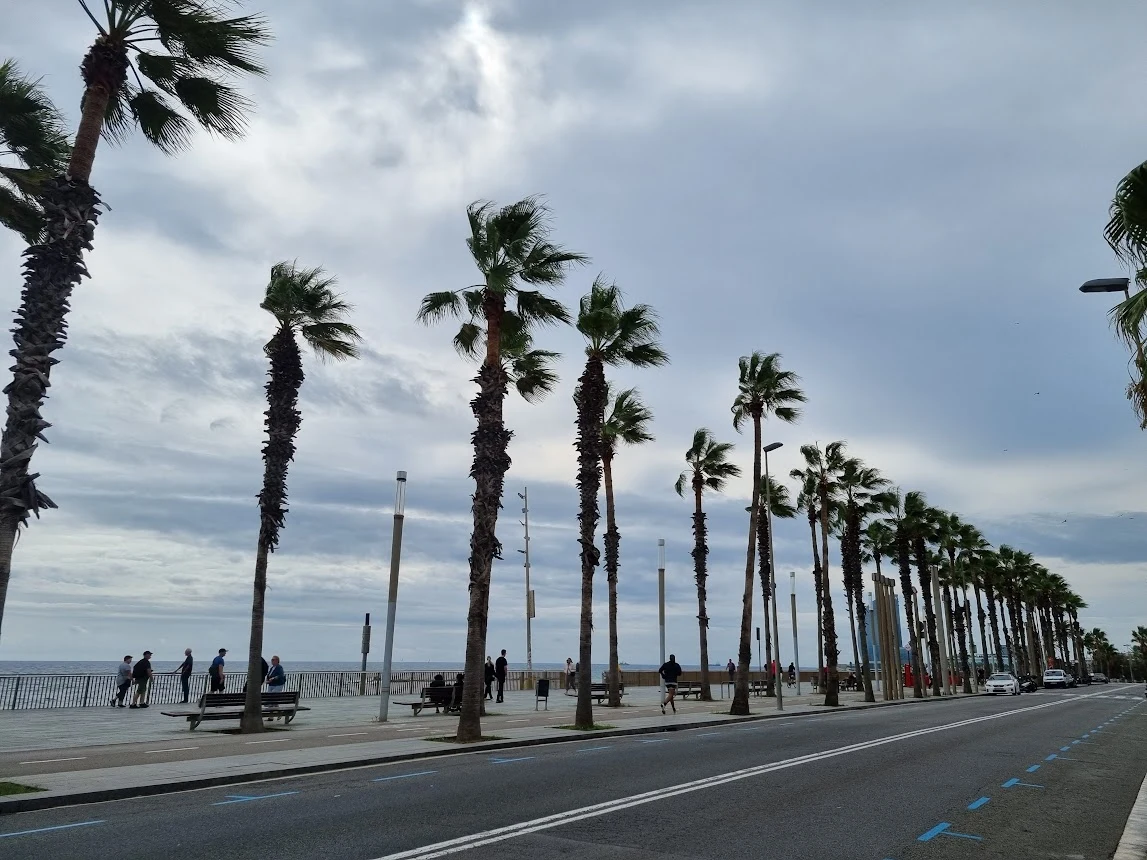 8lwjSyHQMA9H87OW8JBKJkfc06DW2ab-krzf8q86SSvE7e1J9VktjDGCnd-vIO0ik2sdm6TQPsB3JbjE0xWCGR2YkgdcYxI8OiMqiMUELeyDtyKaeFXrNZAi-TcsSqzlxa0bEgWHAA5ig1E3iq_E65ugB5U2eIXQ1c_P7Drjl1kVUrgyj0i_0oDk1Q7tOGsmcZpS5jpnKfr0TA-pednQvc_OYo1hbLhOWxJEHAQOpkVW_0r9qRn9SBTXpcMCHhYL1GustjvBnVWjJPerZM929aNDQPLac-WsO1Hl0cnCM6EEVVZ6BlR4pCanFUl0bMC2Y_Ktx3g_FJ_7uD-MSZ7Qtgy9tnzg-VIe6C_Vs_V2ZSTpB9m1LODFwtcMNz-EWs_2pREcrd7JNHpGAwUham_UQQaacxxKSuRPPY2ZGsF69WT0Bg8WHqmC5pcMk-sv3B_5AI7ZfCWQaoIeq4A4E8CFkLptSTPjRuxBiU390KlC0YR78PbUZkboJyjKkuUG4PODdRvQyzIEB6G5munbqUCWnMV6nJ_lgcDgSde5b5K7WO2dCqmS9xN0OVMYUpUDjBtEA_xQE_yMe-q-NonbIQtL-L7oSYt1_maxlBlaG9tfIlPelPmsL05nctybQrb0gsOjHjF0PhNlFEhEno8WjyrFIUC1LH1pQ2VUrUbjdjpoj7a3puhH9PN-sY3QTfuGVrd9pHV2CcHayoRpznUR8EGjrFK8cTfvy_v3wkzjT2koU_a-75psodMlOkU7uvX_GrRd7WOZkkmYco3m977Fi_sU6YMQvaCd296rTJiYOrIPk9_I2720jQi7jt_ZOxjz3uT1YnGOmKFl8EL_bJTYcqOhbQRYUXhtBzuv_nhJlrVNGlhrXr4ovhPUn1n-SKDe2an46GwgkF9_zEts4E4-t3PxzfojxdBEbAxyJrVeuvSjt81DsFknyA=w1148-h860-no?authuser=0