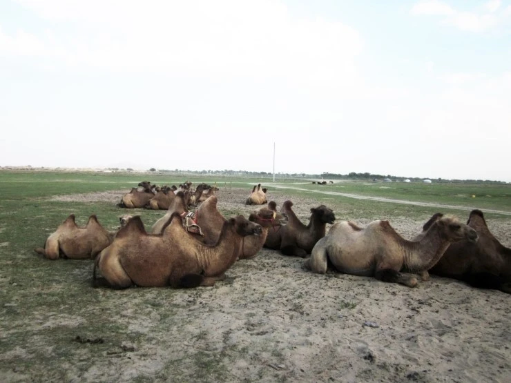 %B3%AB%C5%B8%B5%E9.jpg?type=w2