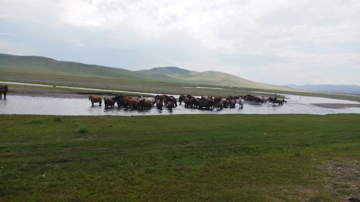 %C3%C3%C7%EC%B8%A3_%B0%A1%B4%C2_%B0%AD%B9%B01.jpg?type=w2