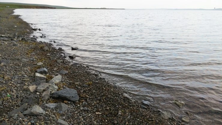 %BE%EE%B1%E2%C8%A3%BC%F63.jpg?type=w2