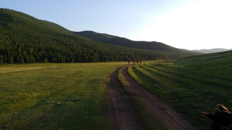 %C3%C3%C7%EC%B8%A3_%BD%C2%B8%B6%C1%DF_%B0%E6%C4%A11.jpg?type=w2