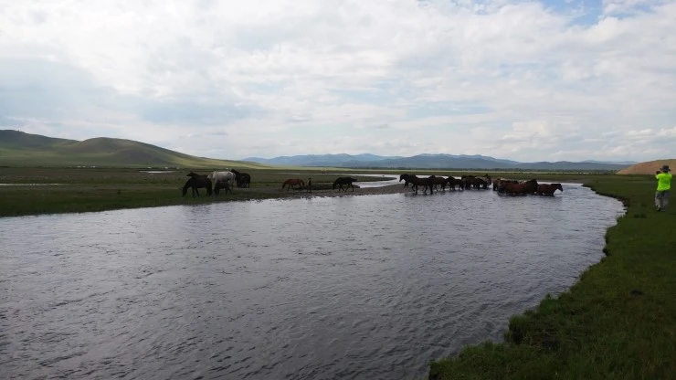 %C3%C3%C7%EC%B8%A3_%B0%A1%B4%C2_%B0%AD%B9%B02.jpg?type=w2