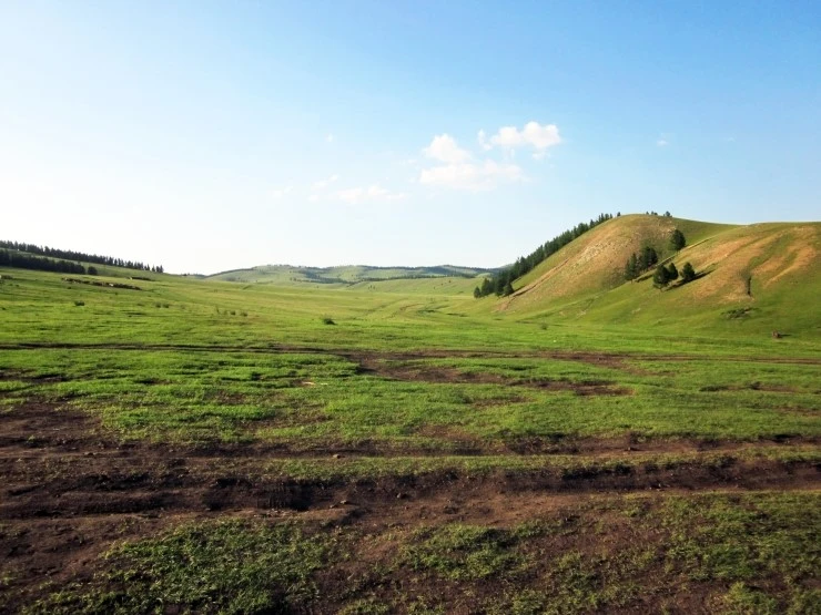 %C3%C3%C7%EC%B8%A3_%C3%CA%BF%F82.jpg?type=w2