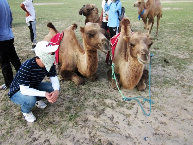 %B3%AB%C5%B8_%C7%D0%BC%F65.jpg?type=w2