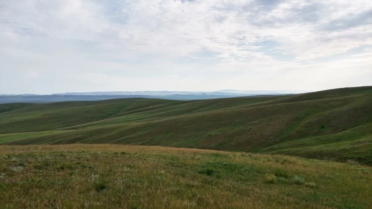 %BE%EE%B1%E2%C8%A3%BC%F6_%BE%F0%B4%F6.jpg?type=w2