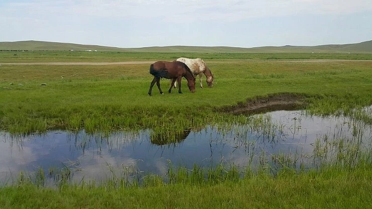 %C3%CA%BF%F8%C0%C7_%B8%BB.jpg?type=w2