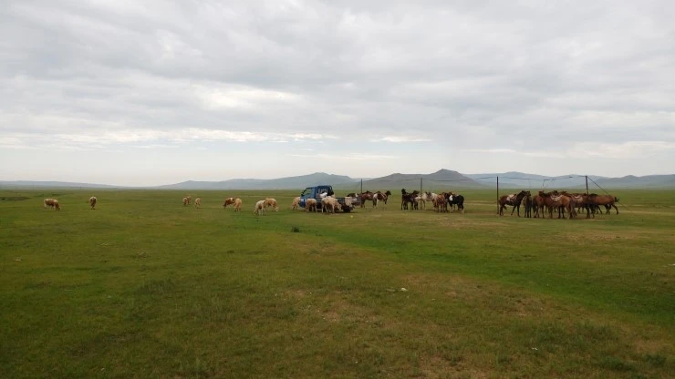 %C8%C4%C0%CC%B4%FA%B7%B7%C8%C4%B4%DA_%C3%CA%BF%F87.jpg?type=w2