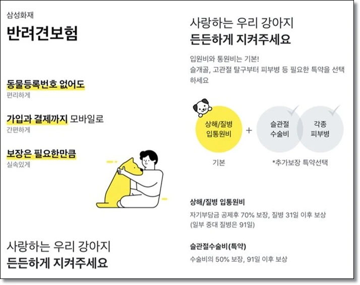 모바일 최적화와 간편 결제 시스템 도입으로 인한 보험 가입 접근성 향상