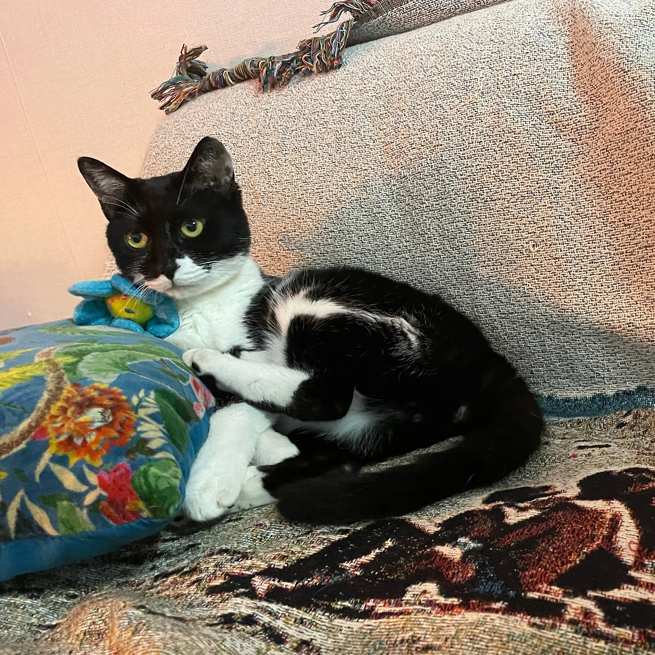 KakaoTalk_Photo_2021-10-23-02-20-59 001.jpeg