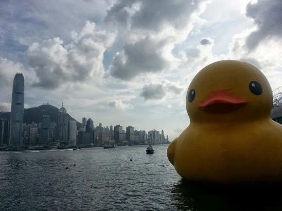 221FC4425289A3741E284E