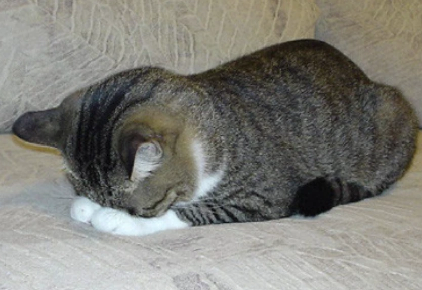 %EC%8A%A4%ED%81%AC%EB%A6%B0%EC%83%B7_2025-03-25_%EC%98%A4%ED%9B%84_6.58.26.png?type=w1