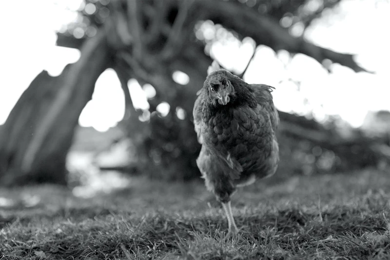 GAC%EF%BC%BFGunda2.jpg?type=w966