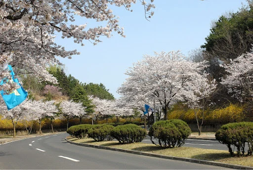 0mBaT3DfkQKfdknS3TS-jAMGmwoAF5DU_CsgsdzC7Hp0n1KF34bCGPz3z4XNN8_sqxc6jj_mcziGMf91mPx4uaLczbPF9_XXy7zs3qqiRgBJryaspFbsAa8