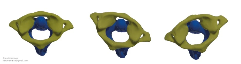 c1,c2_madmedmap-02.jpg?type=w1