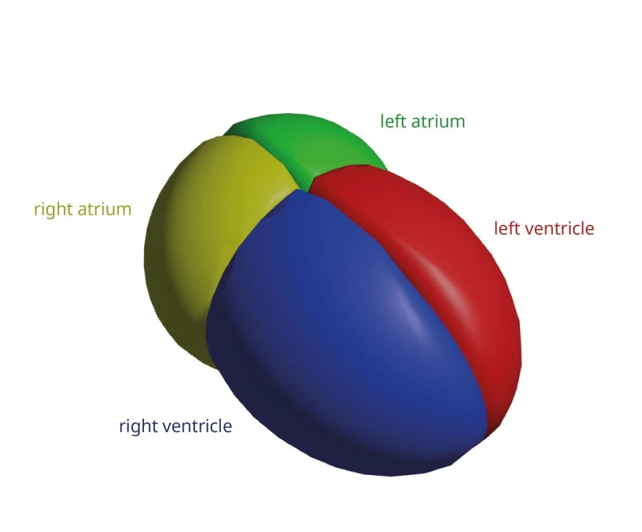 ht-01-01.jpg?type=w1