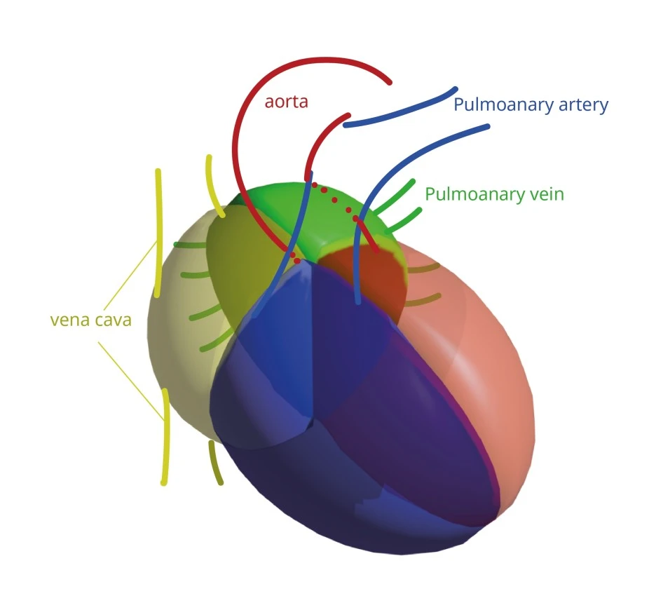 ht_2-02-02-02.jpg?type=w1
