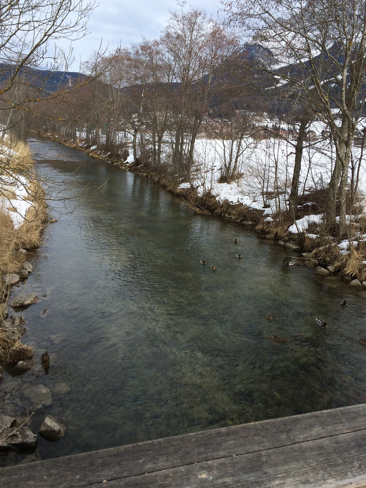 2016-02-14 001 2016-02-14 027.JPG