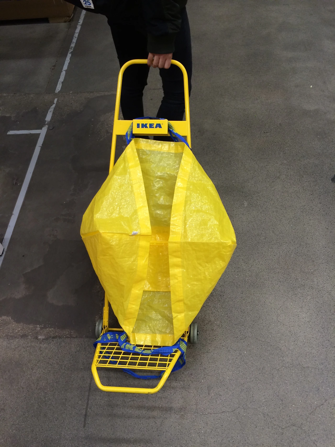 20160130~0204 2016-02-03 050.JPG