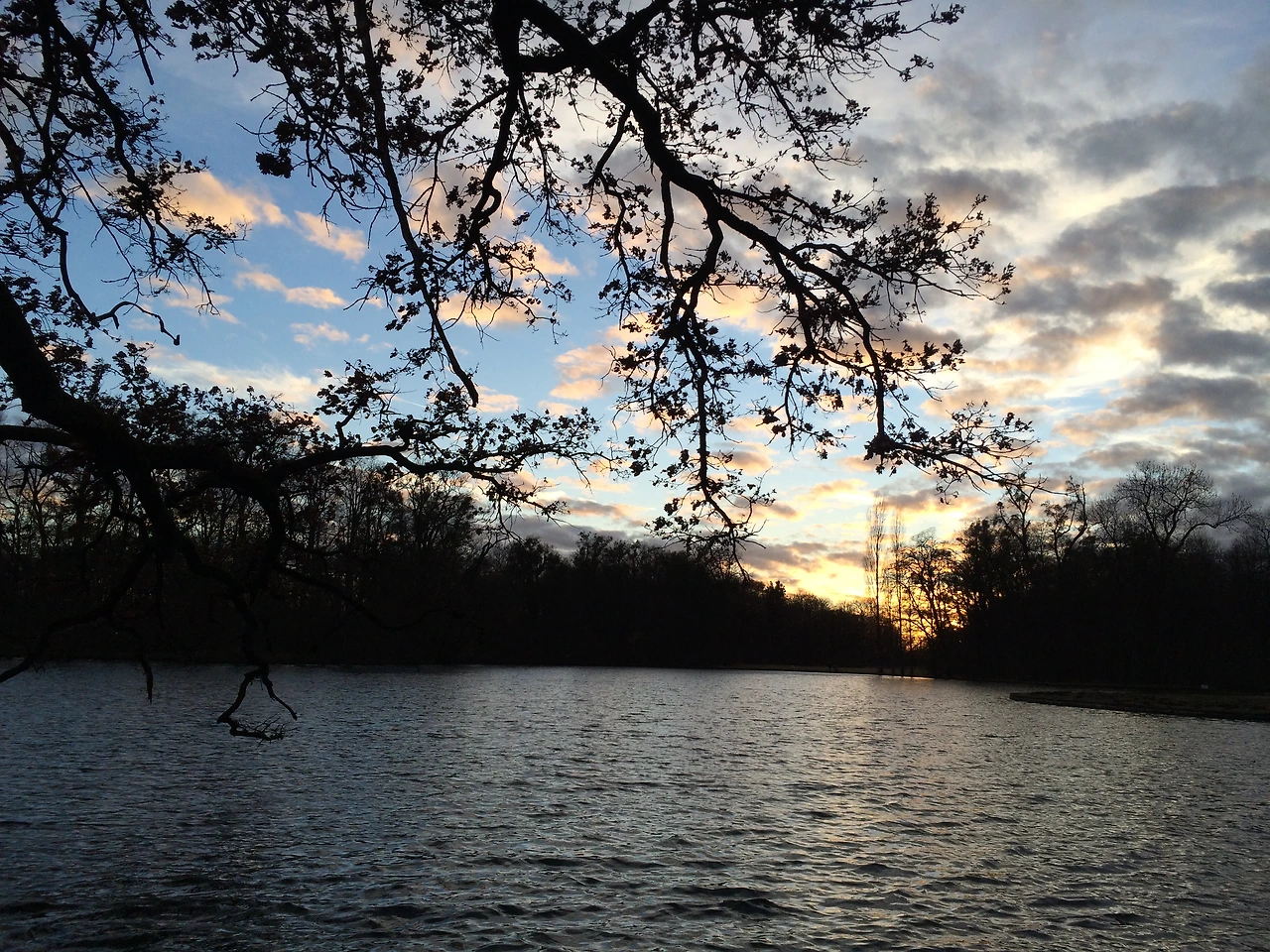 160221 Munich 2016-02-21 047.JPG