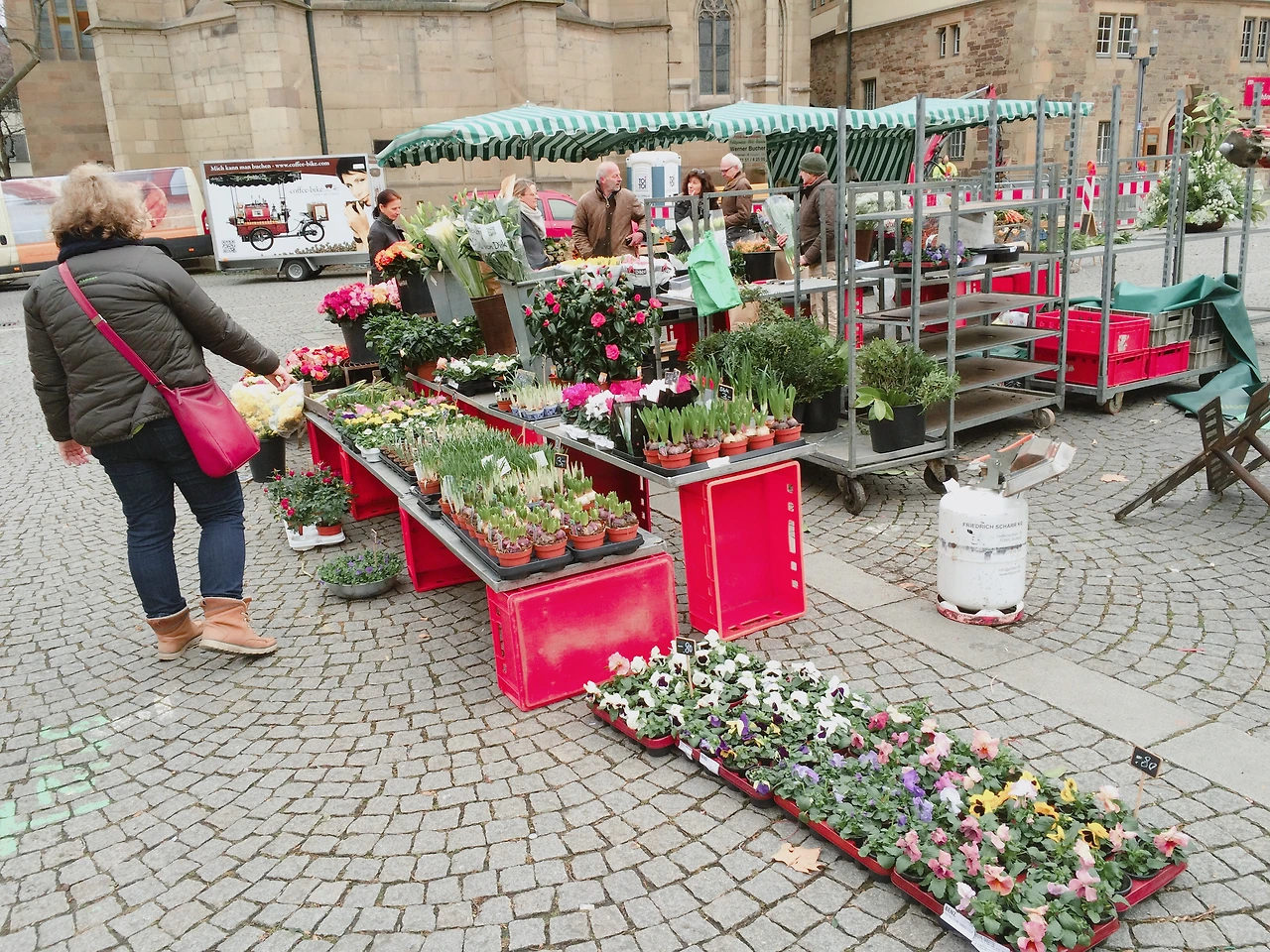160211 Stuttgart-Tubingen 2016-02-11 006.JPG
