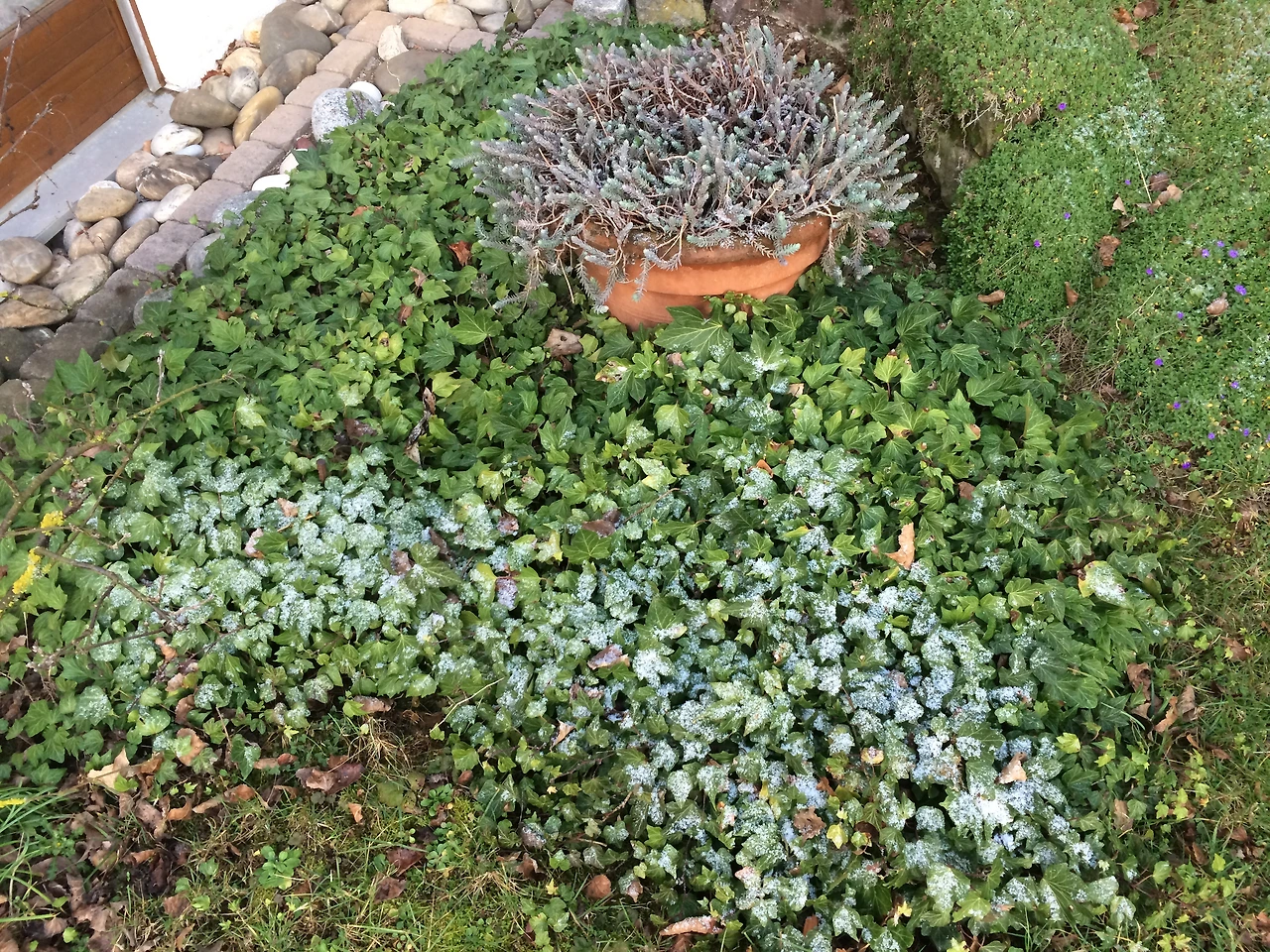 160212 Tubingen 2016-02-12 003.JPG