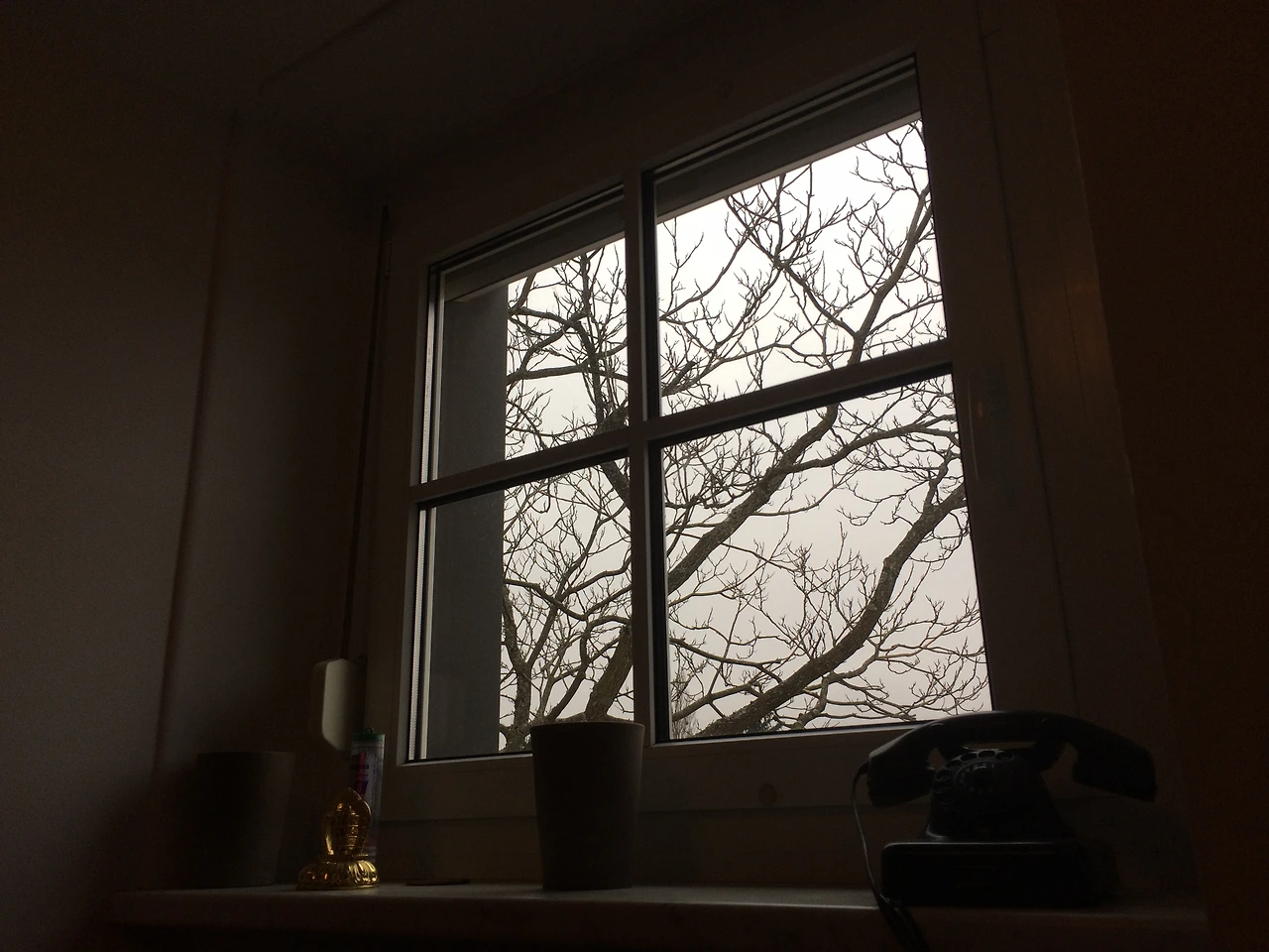 160217 Munich all day at home 2016-02-17 003.JPG