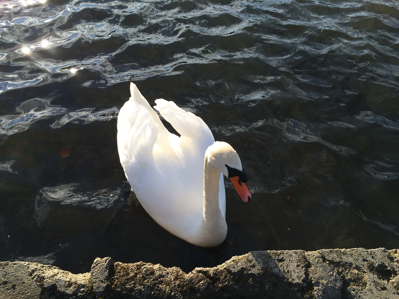 160221 Munich 2016-02-21 019.JPG