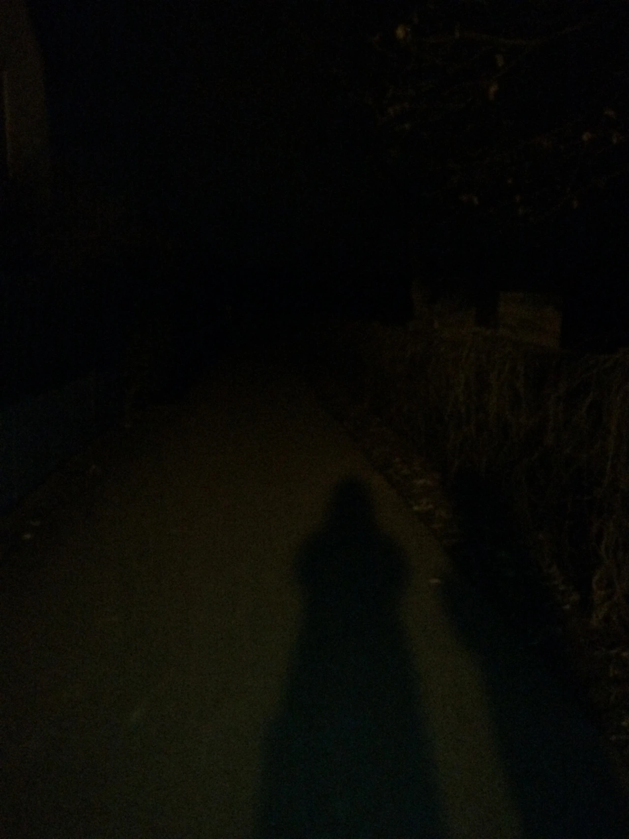 160206 2016-02-07 006.JPG