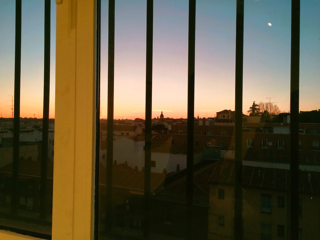 1603 2016-03-12 035.JPG